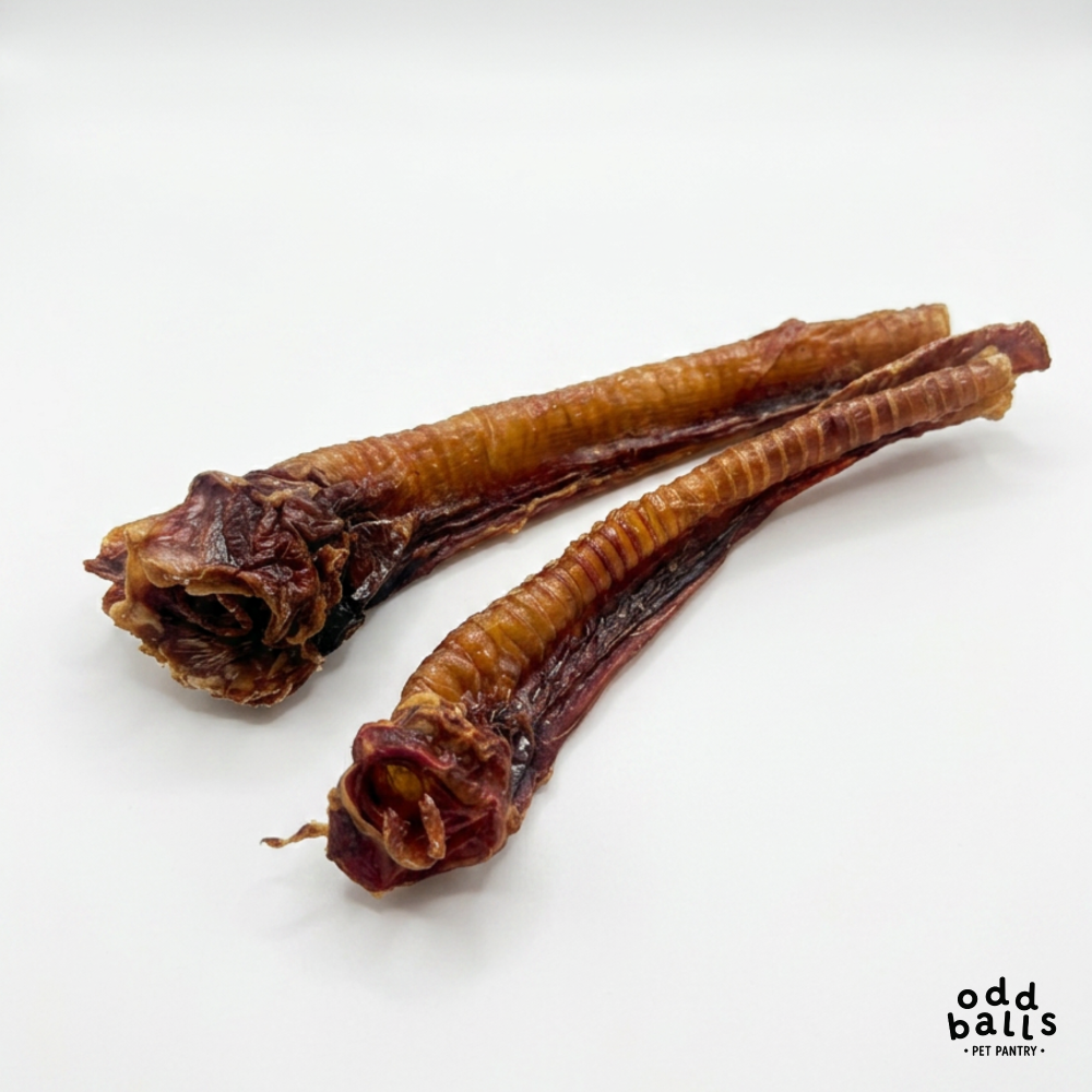 Beef Trachea