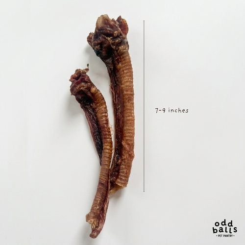 Beef Trachea