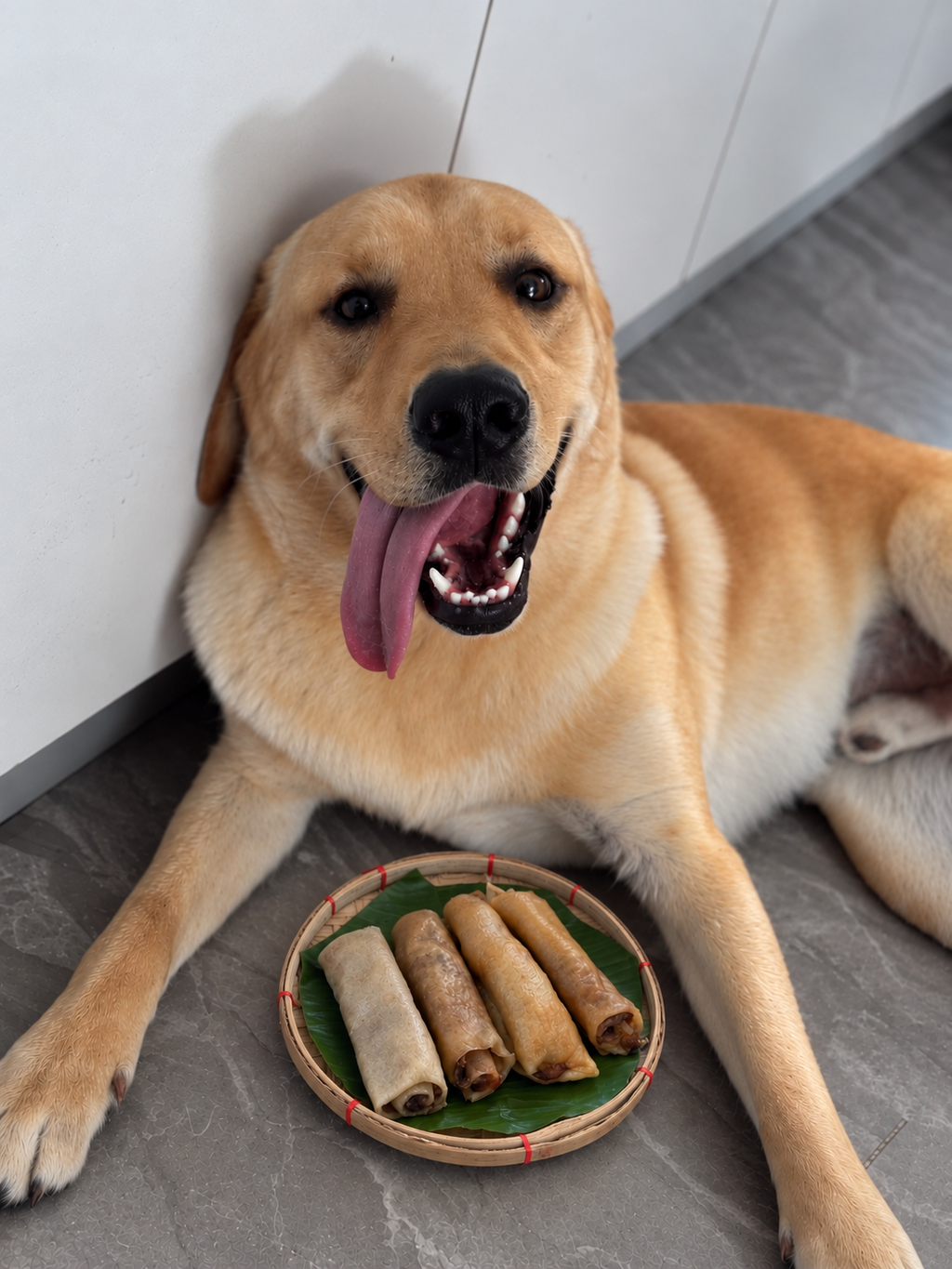 Lumpiang Shanghai